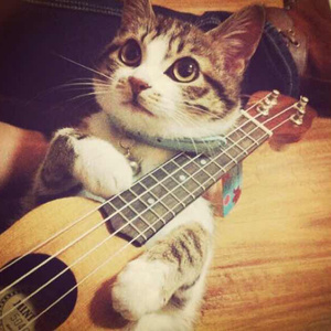 欧美成人www在线观看男男
